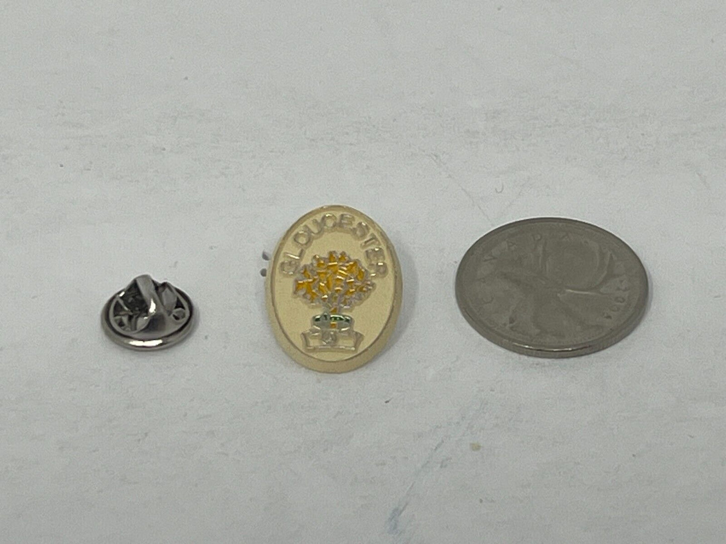 Gloucester County New Brunswick Souvenir Cities & States Lapel Pin SP3