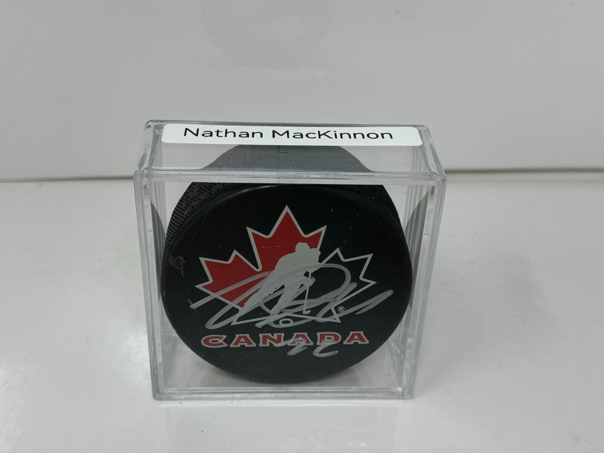 44123261