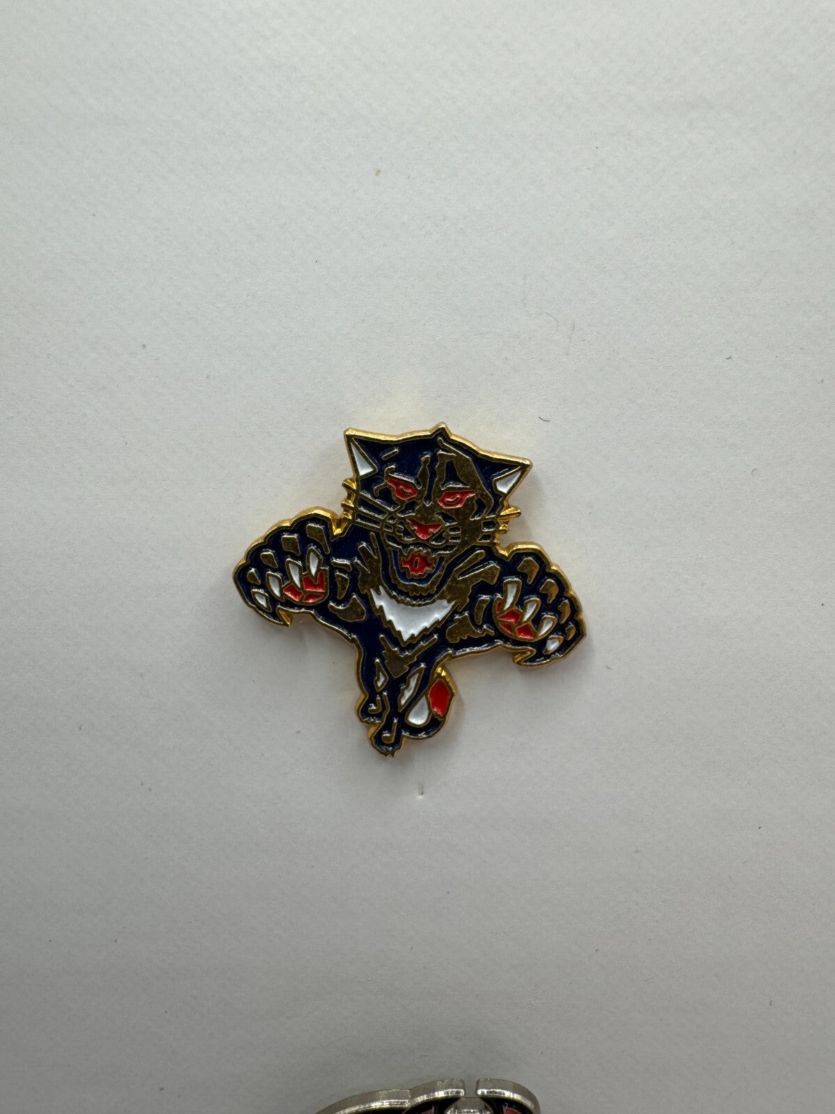 Florida Panthers NHL Hockey Team Logo Lapel Pin UDT1