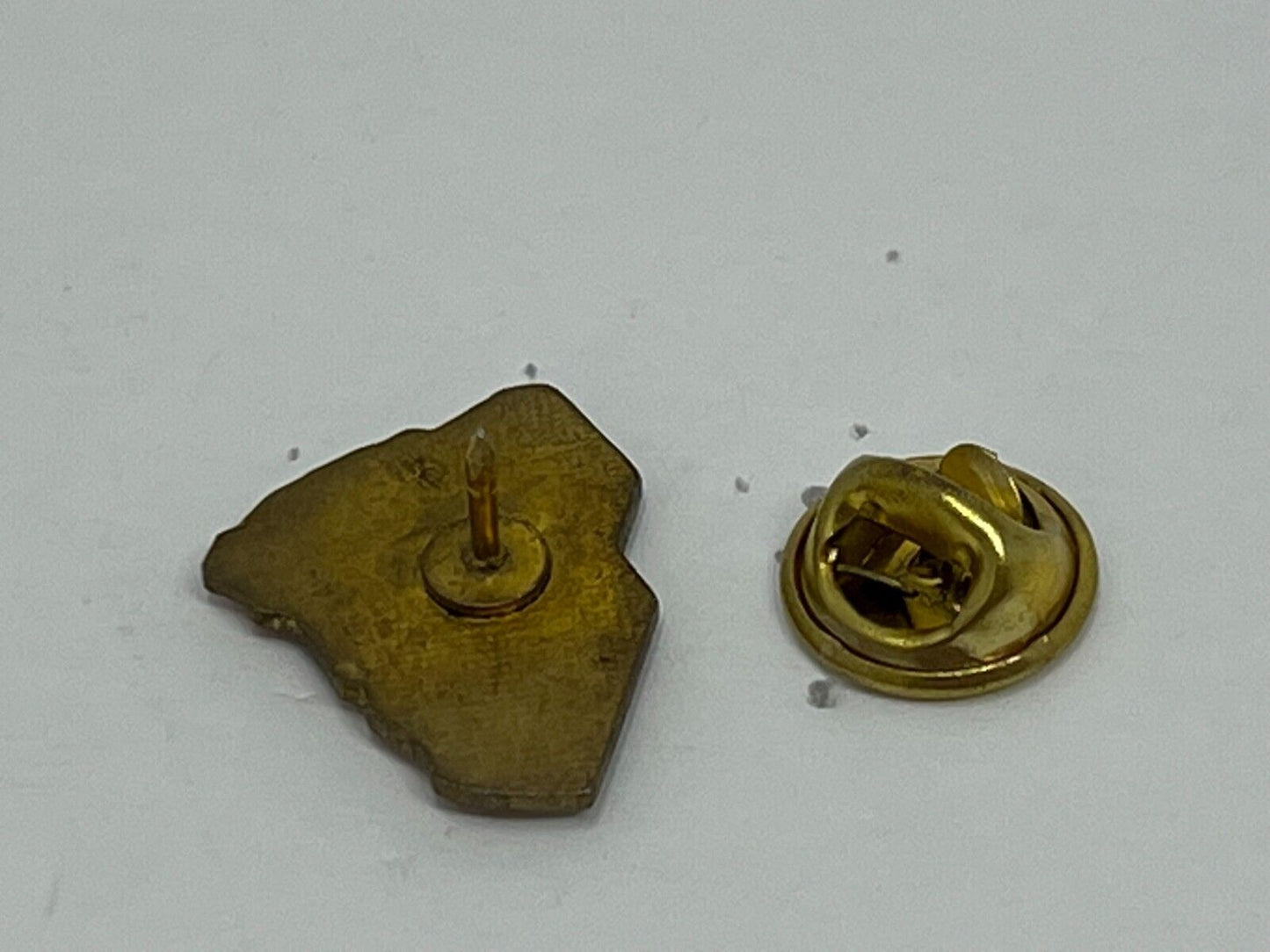 South Carolina State Map Cities & States Lapel Pin P1