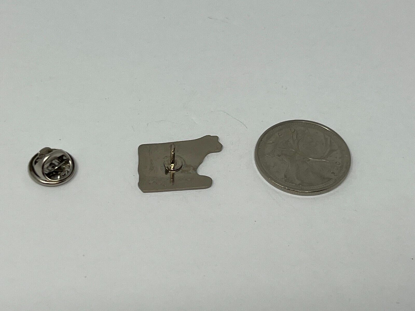 Sussex New Brunswick Cow Souvenir Cities & States Lapel Pin SP2