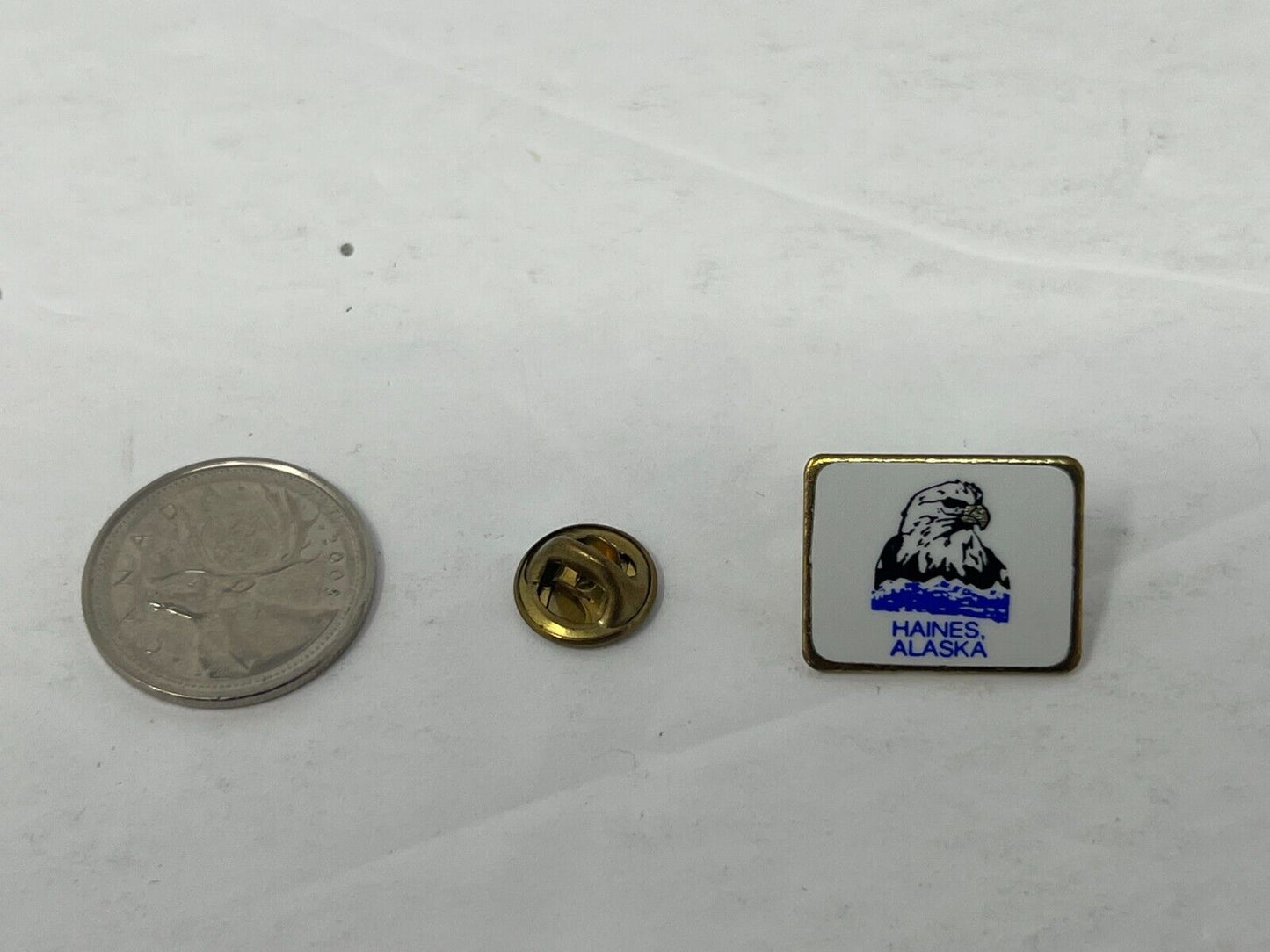 Haines, Alaska Souvenir Cities & States Lapel Pin CPS1