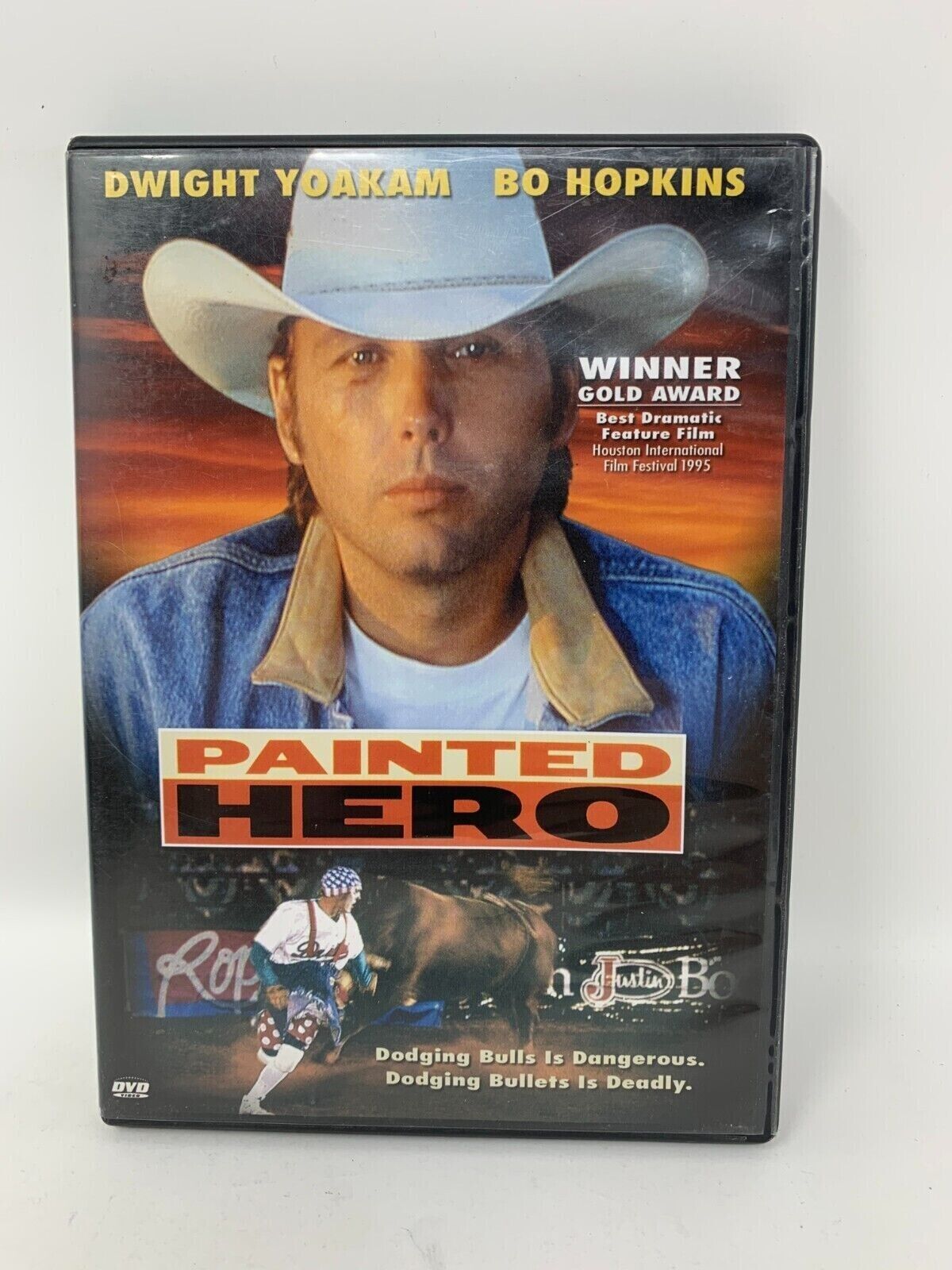 Painted Hero (DVD) Drama Good Condition!!!