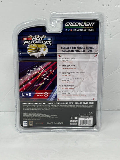 Greenlight Hot Pursuit 2019 Dodge Charger 1:64 Diecast