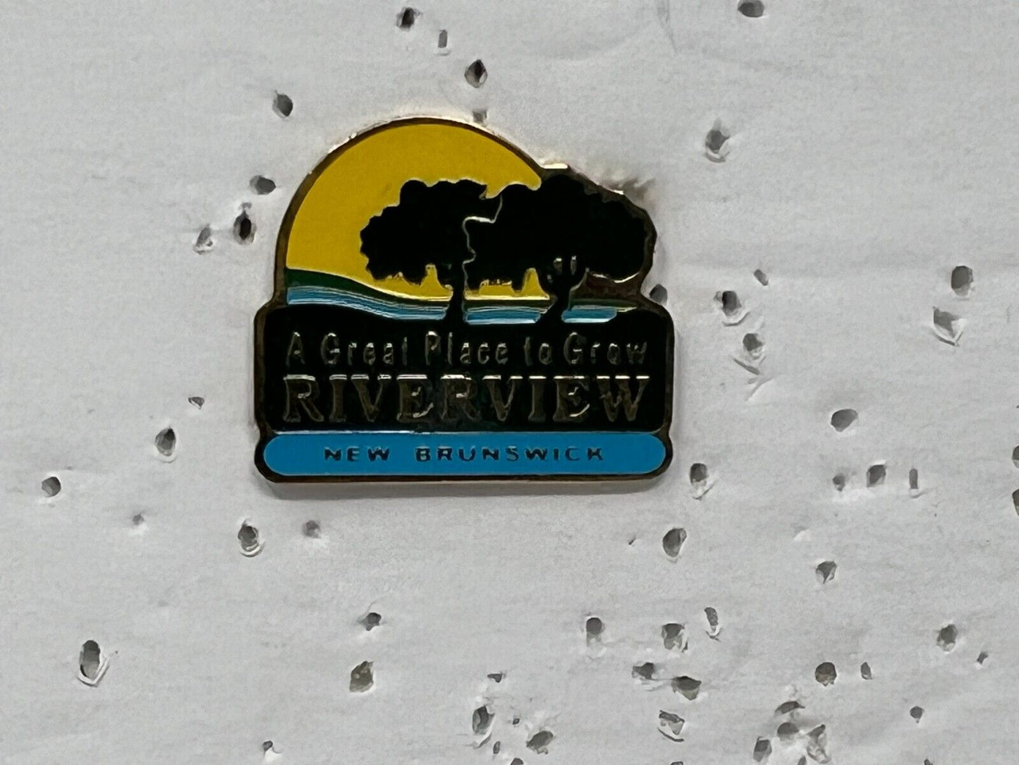 Town of Riverview New Brunswick Souvenir Cities & States Lapel Pin SP6