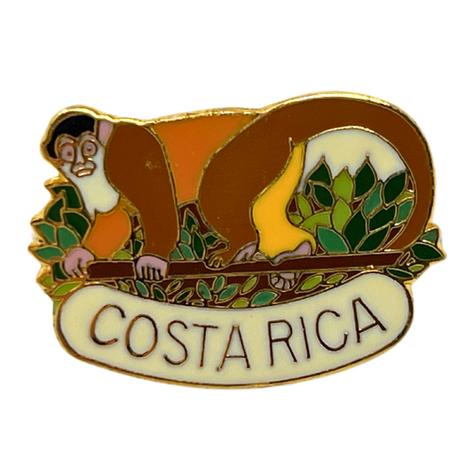 Costa Rica Cities & States Lapel Pin CPS2