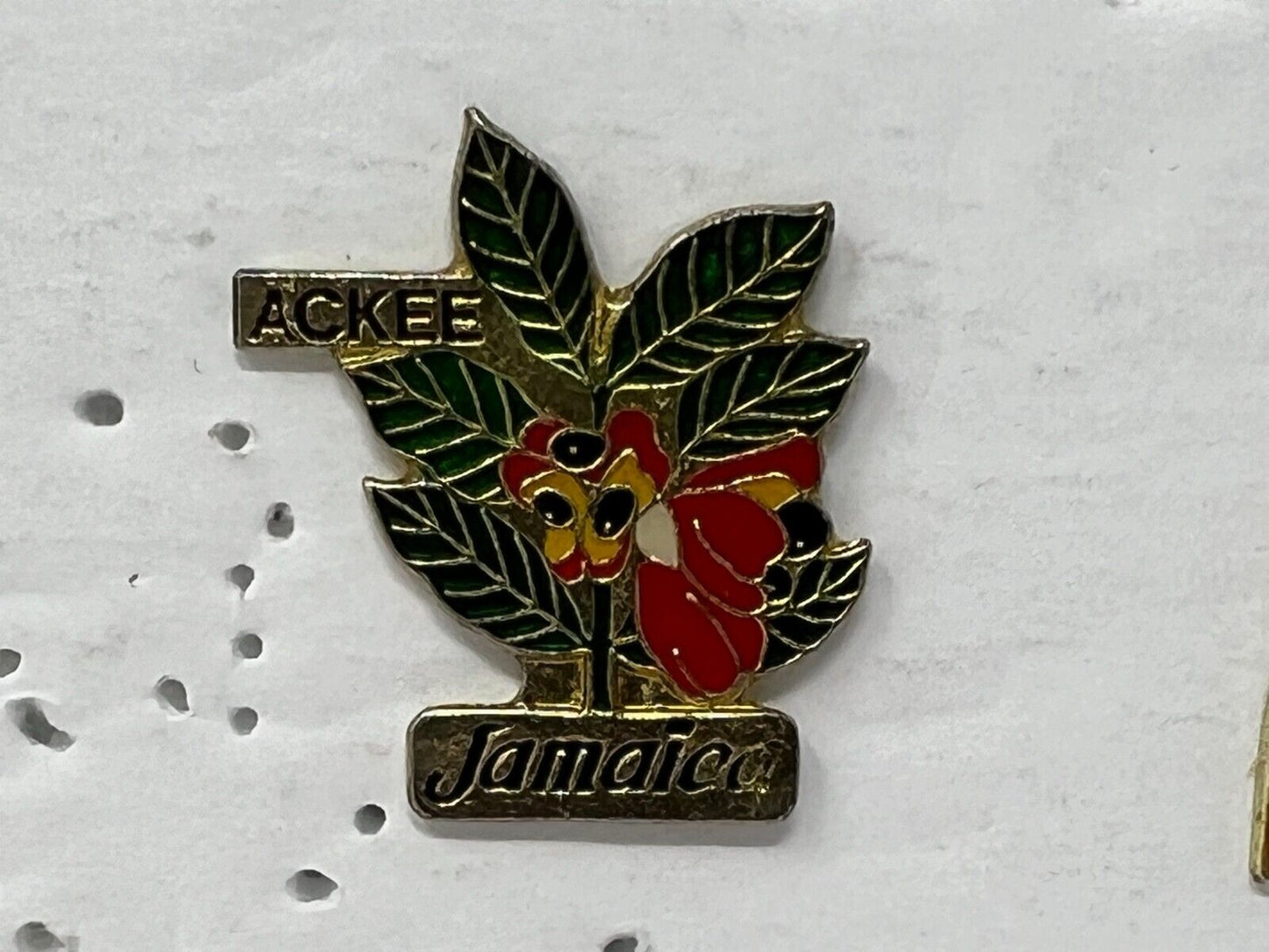 Ackee Jamaica Cities & States Lapel Pin CPS2