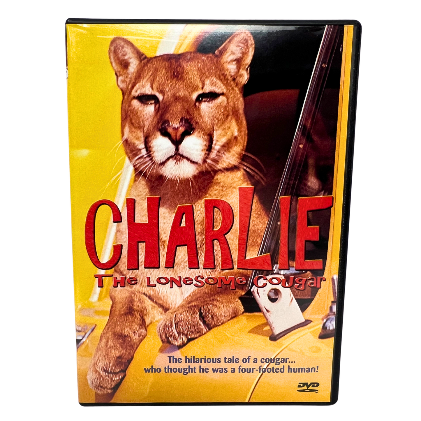 Charlie (DVD) Adventure Good Condition!!!