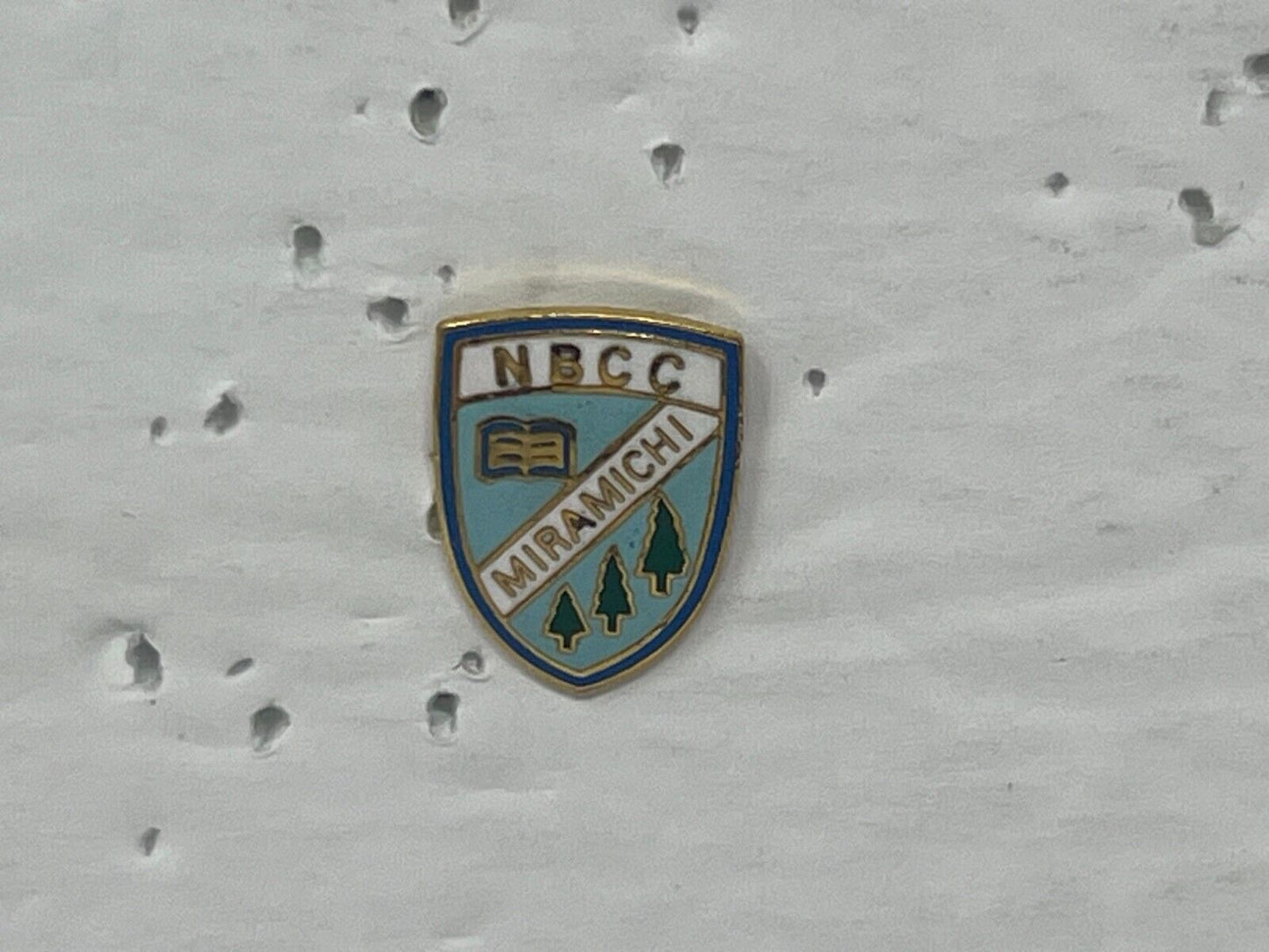 NBCC Miramichi New Brunswick Souvenir Cities & States Lapel Pin SP3