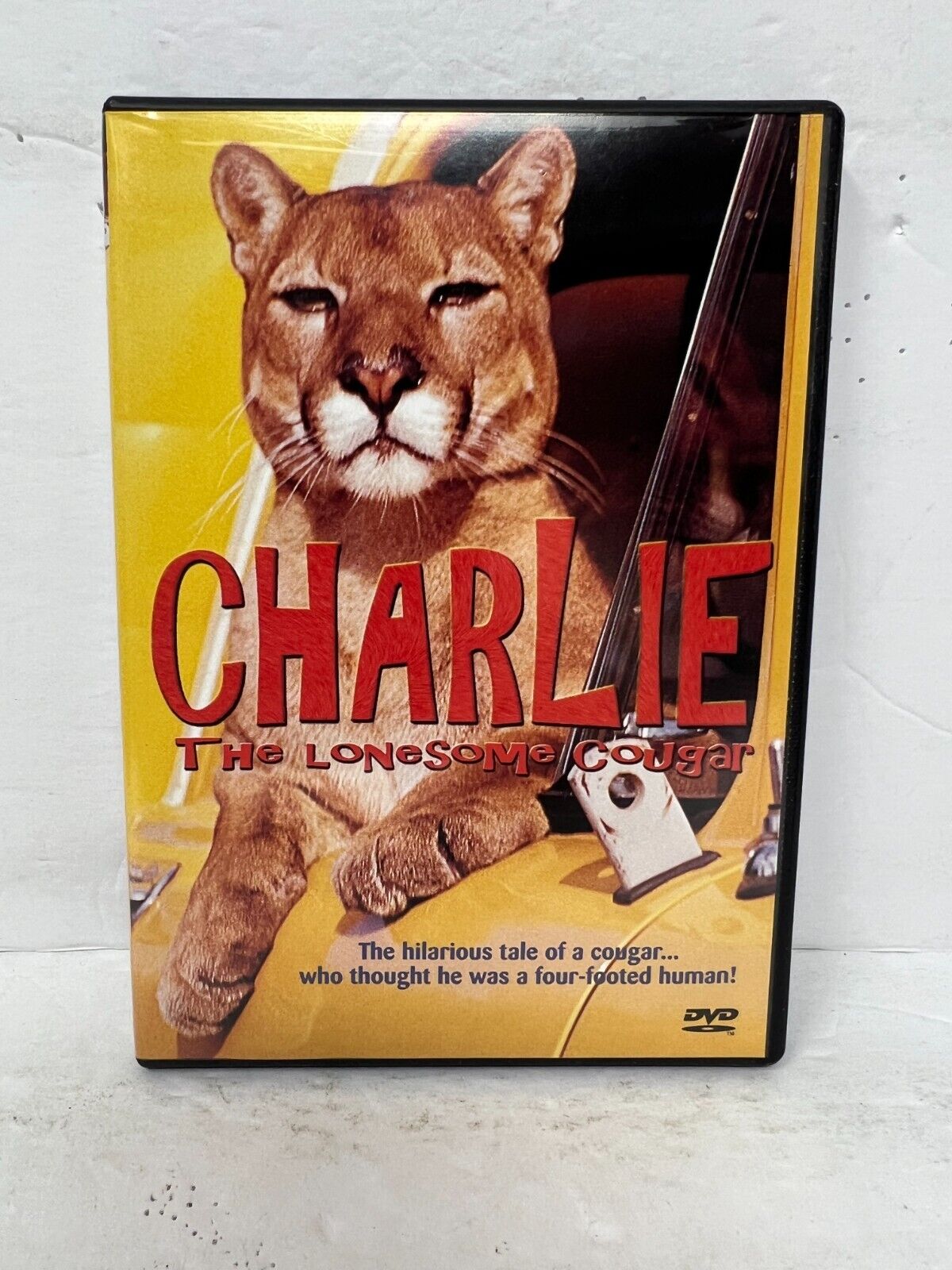 Charlie (DVD) Adventure Good Condition!!!