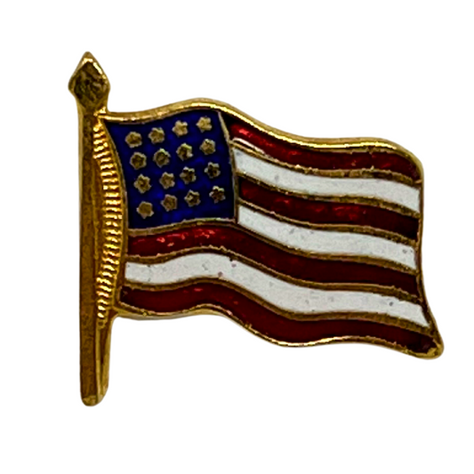 United States of America U.S.A. Flag Patriotic Lapel Pin P1