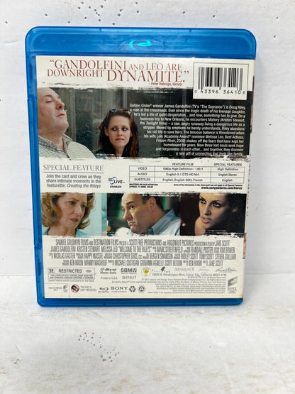 Welcome to the Rileys (Blu-ray) Drama Good Condition!!!