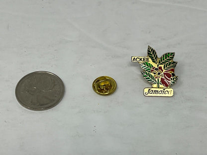 Ackee Jamaica Cities & States Lapel Pin CPS2