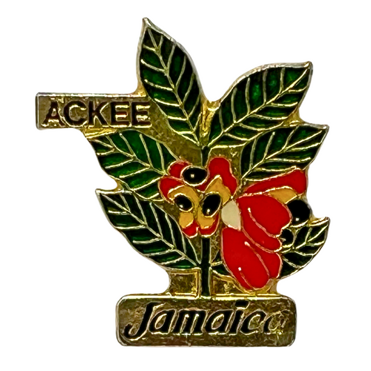 Ackee Jamaica Cities & States Lapel Pin CPS2