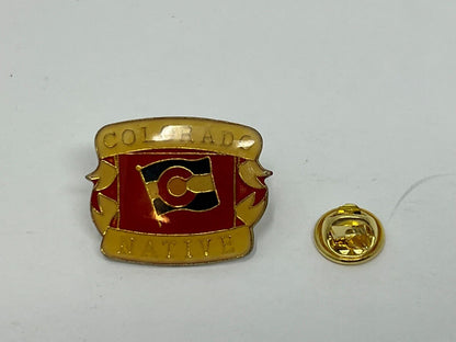 Colorado Native State Flag Cities & States Lapel Pin P1