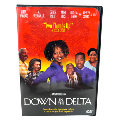 Down in the Delta (DVD) Drama Good Condition!!