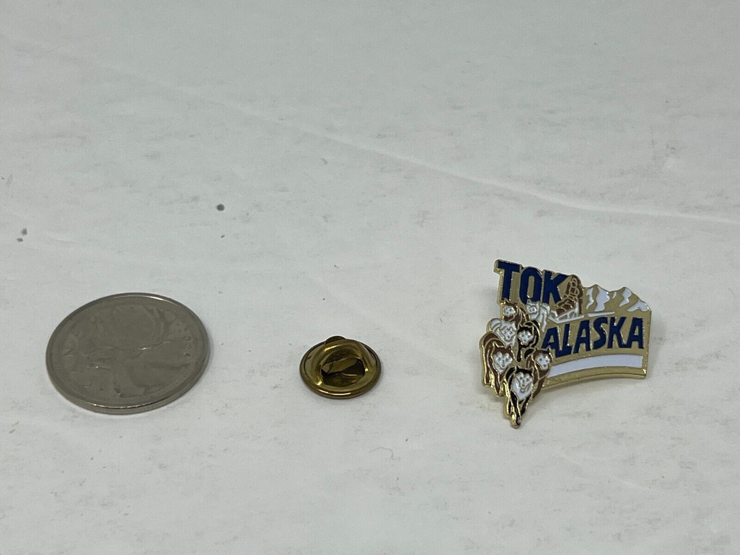 TOK Alaska Souvenir Cities & States Lapel Pin CPS1