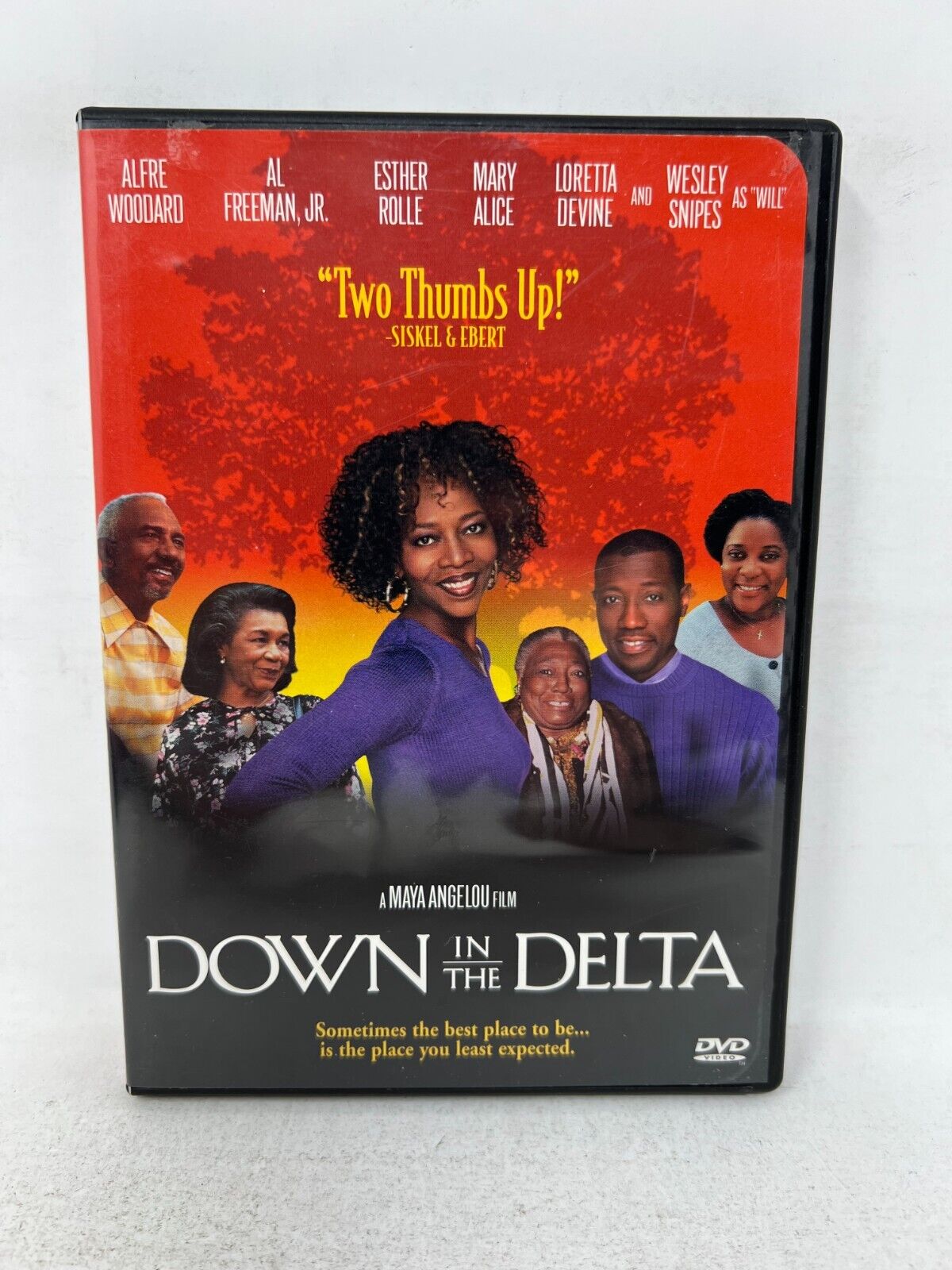 Down in the Delta (DVD) Drama Good Condition!!