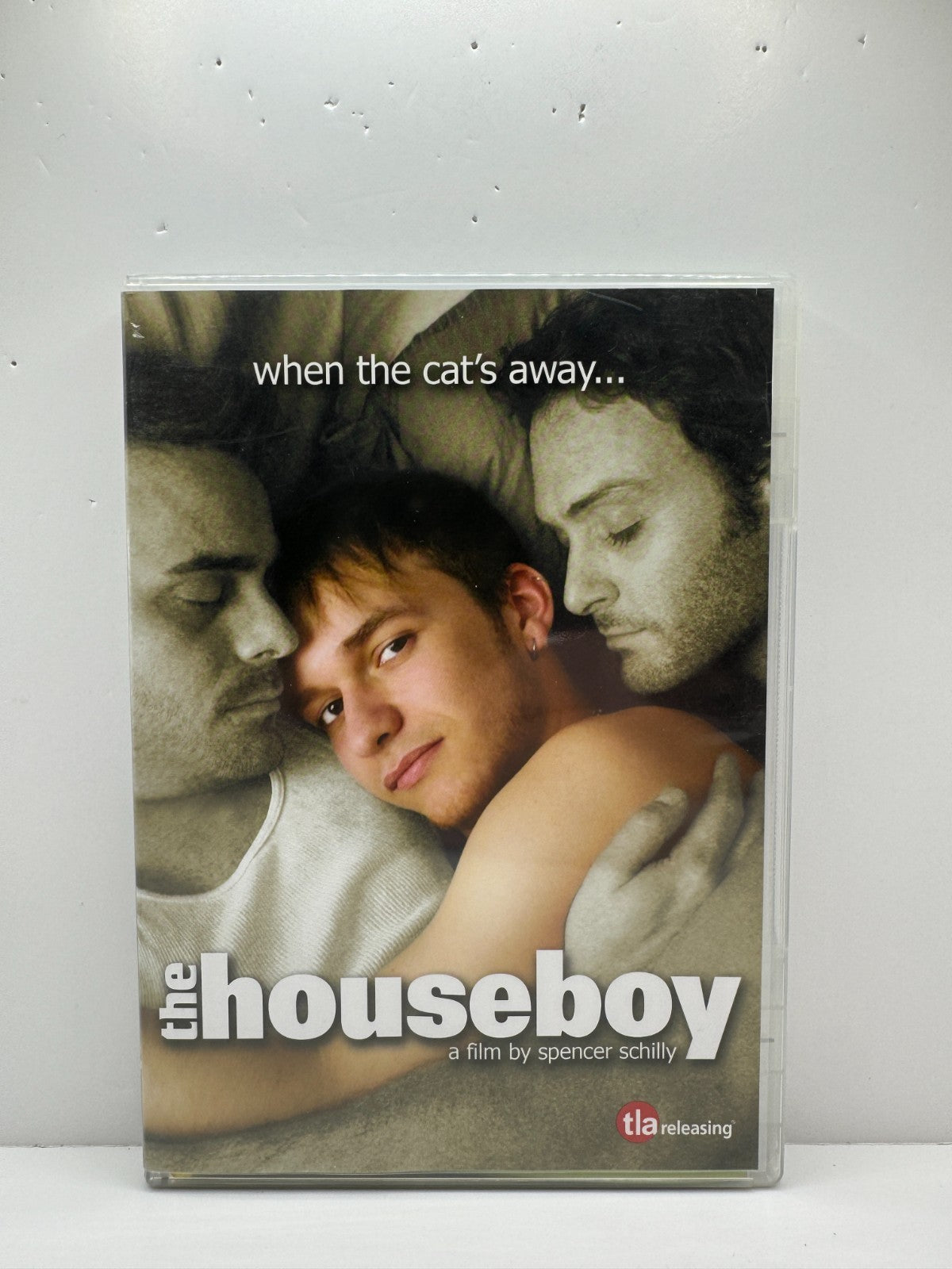 The Houseboy (DVD) French Cinema Drama Gay Interest LGBTQ