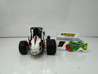R&R Kasey Kahne #9 Sage Fruit 2007 Sprint Car 125 Diecast
