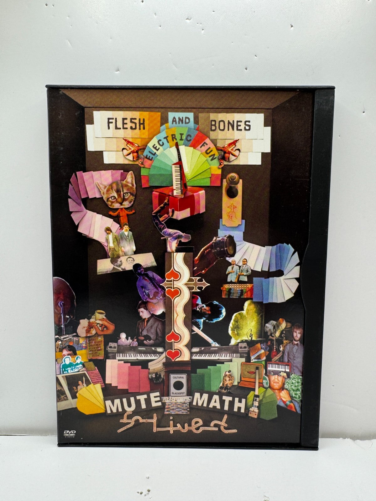 Mute Math Flesh & Bones Electric Fun (DVD) Mutemath Music Concert