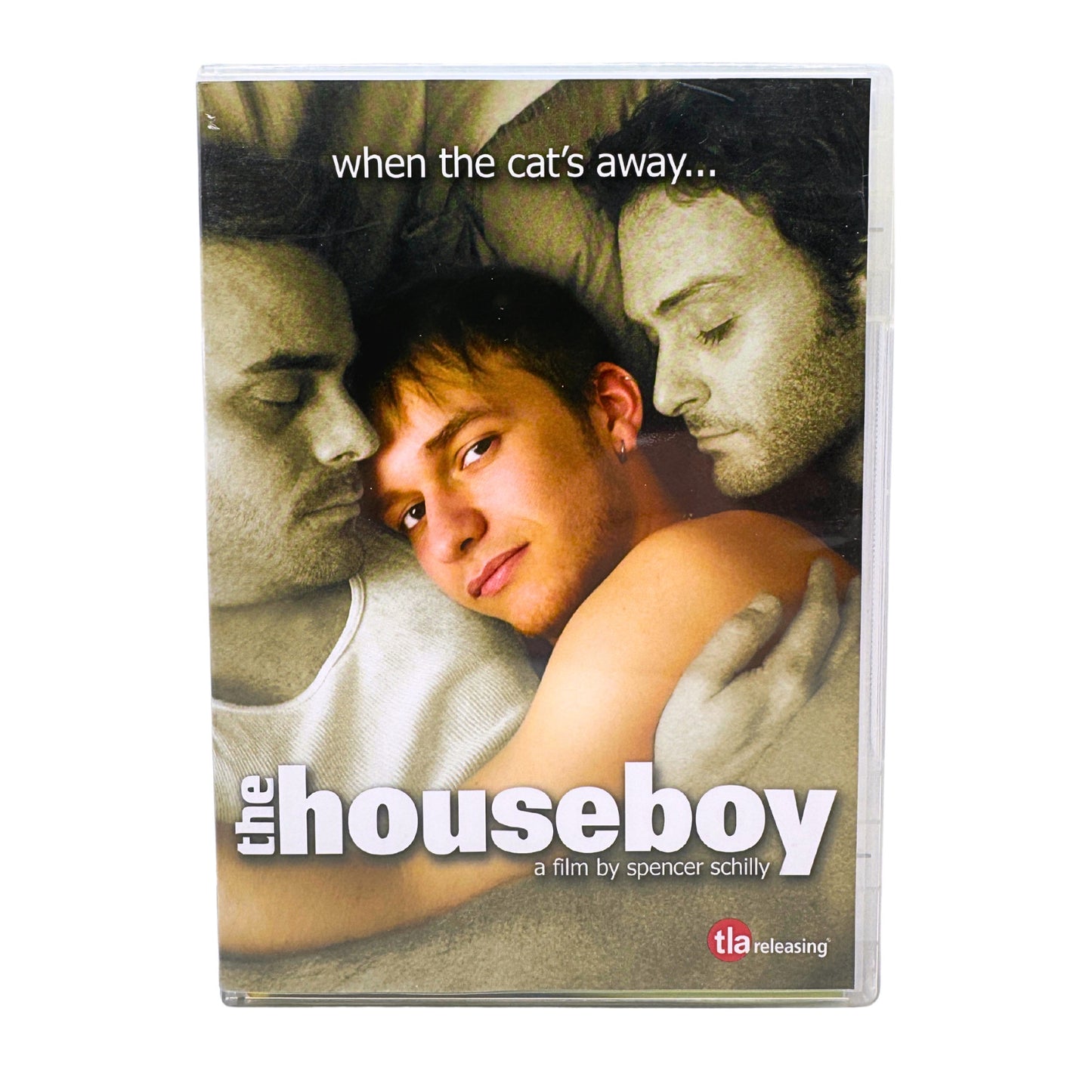 The Houseboy (DVD) French Cinema Drama Gay Interest LGBTQ