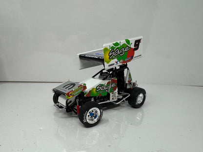 R&R Kasey Kahne #9 Sage Fruit 2007 Sprint Car 125 Diecast