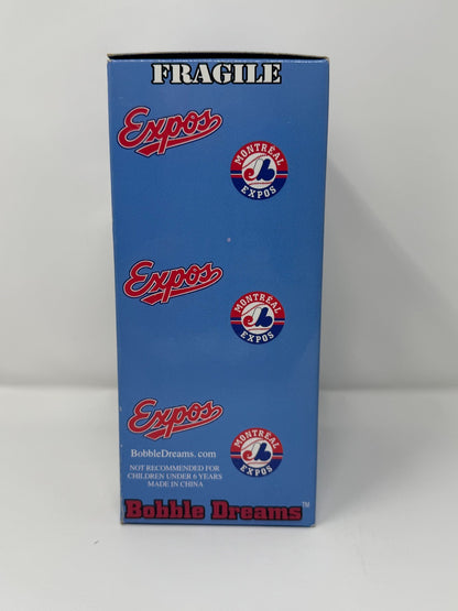 Bobble Dreams Montreal Expos Vladimir Guerrero Bobblehead MLB Baseball