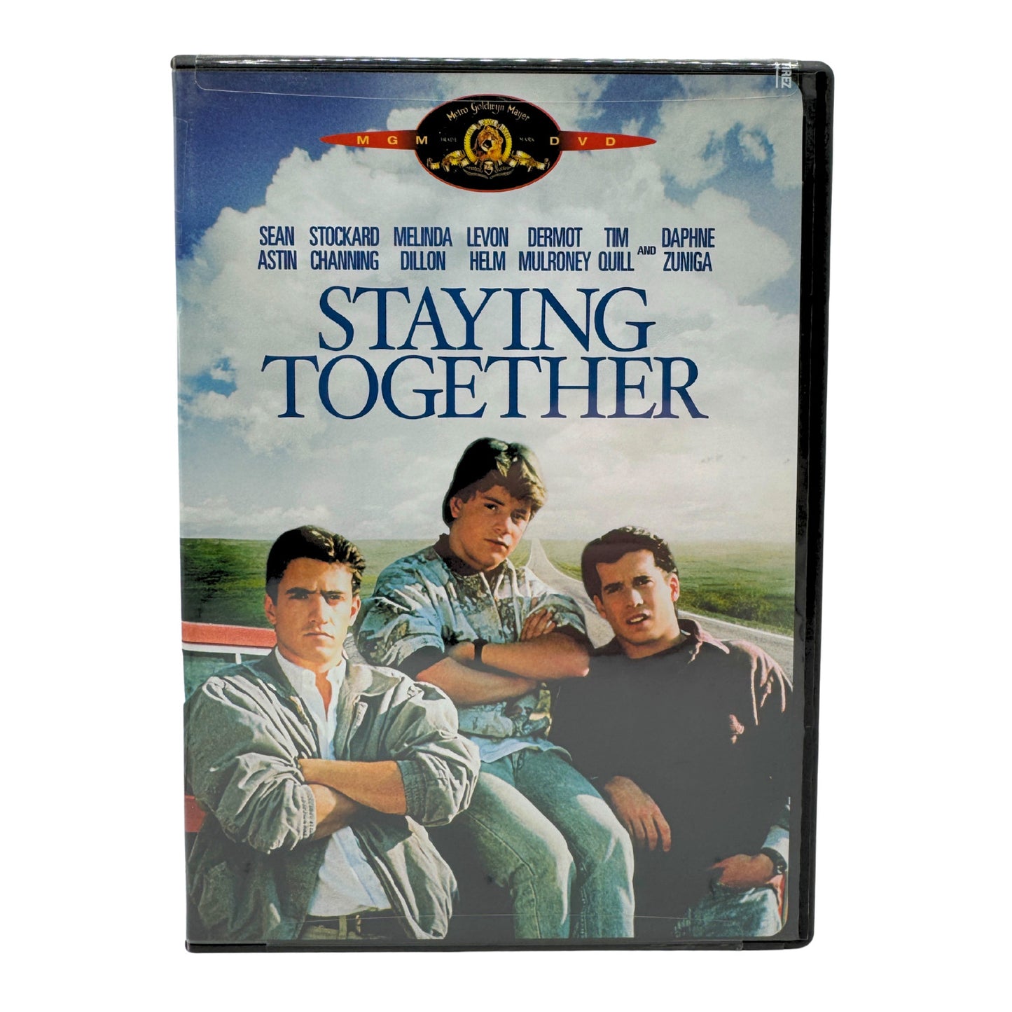 Staying Together (DVD) Dermot Mulroney Drama