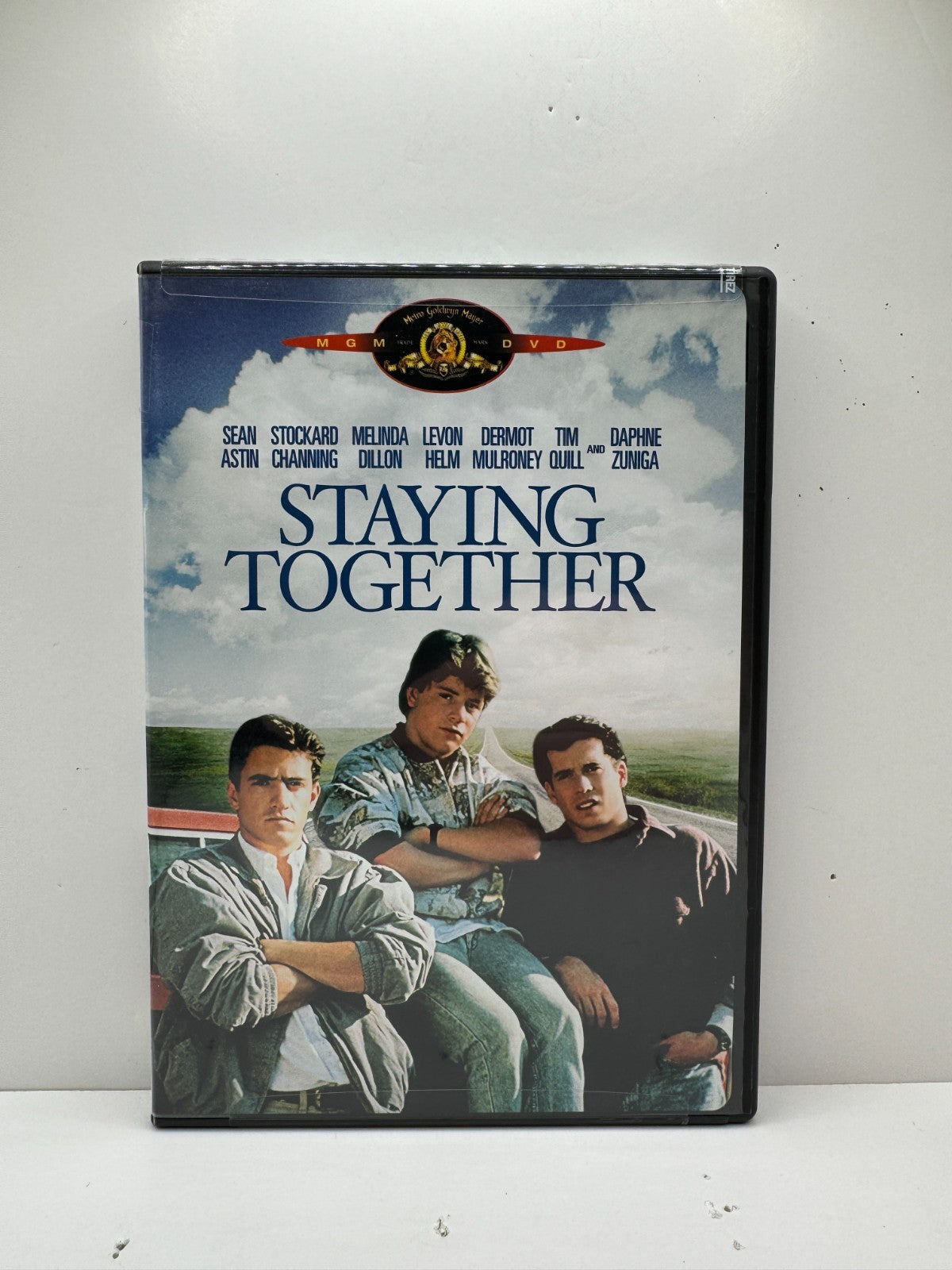 Staying Together (DVD) Dermot Mulroney Drama