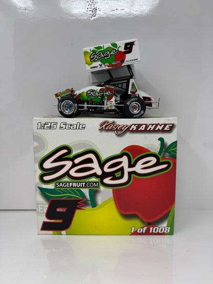 R&R Kasey Kahne #9 Sage Fruit 2007 Sprint Car 125 Diecast