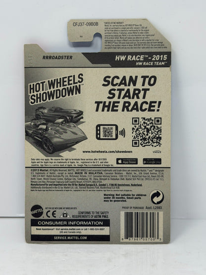 Hot Wheels Super Treasure Hunt RRRoadster HW Race Team 1:64 Diecast STH