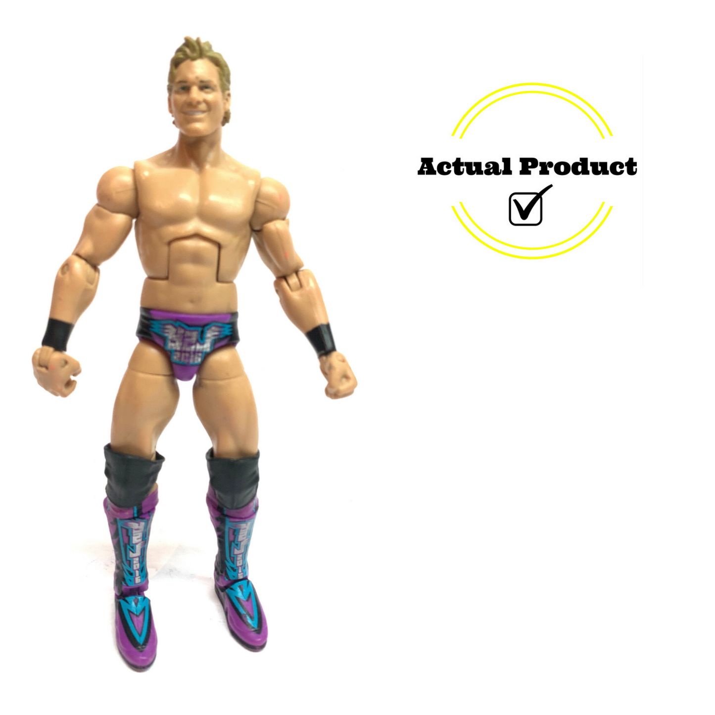 WWE Chris Jericho Elite Collection Lost Legends Wrestling Action Figure