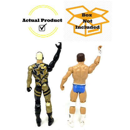 WWE Goldust & Cody Rhodes Tag Team Basic Wrestling Action Figure