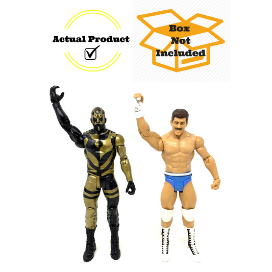 WWE Goldust & Cody Rhodes Tag Team Basic Wrestling Action Figure