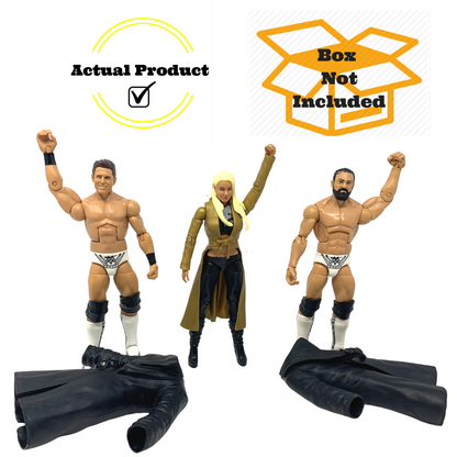 WWE The Miz & Damien Mizdow (Sandow) & Maryse Elite Collection Action Figures