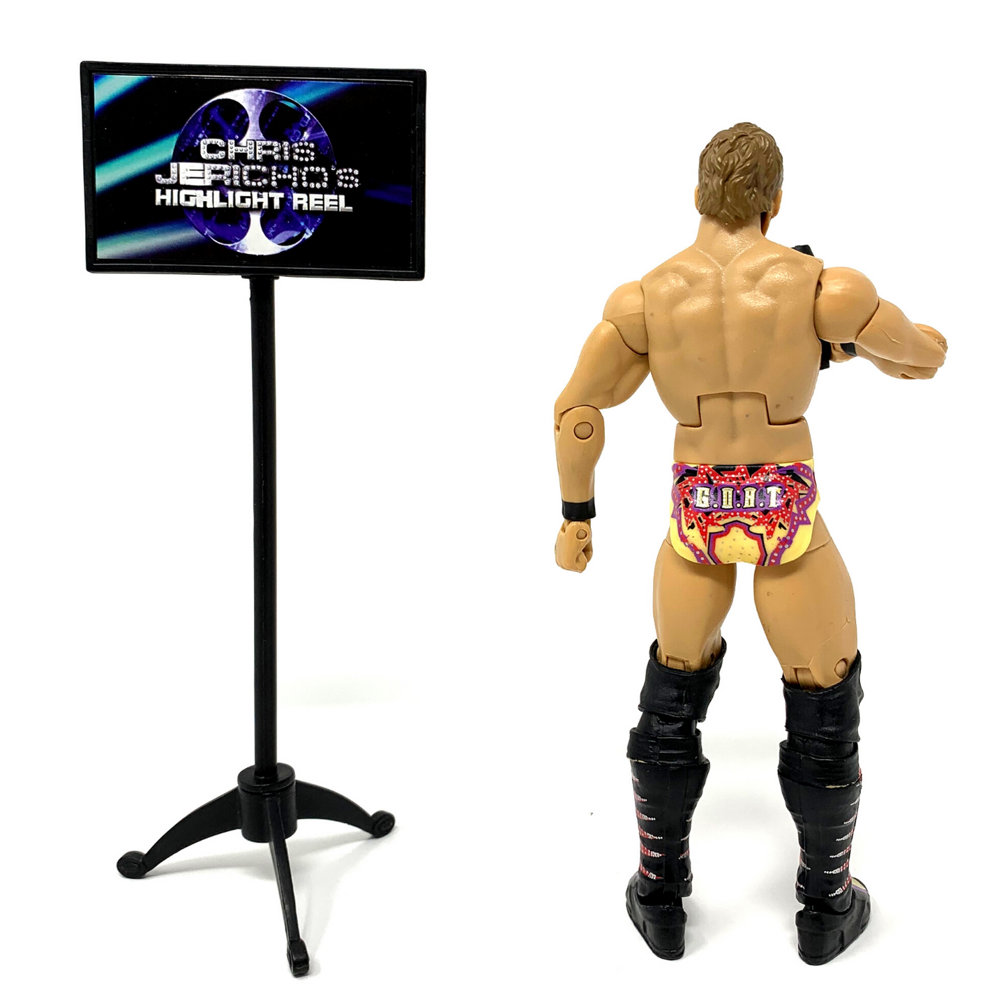 WWE Chris Jericho Elite Collection Custom Wrestling Action Figure