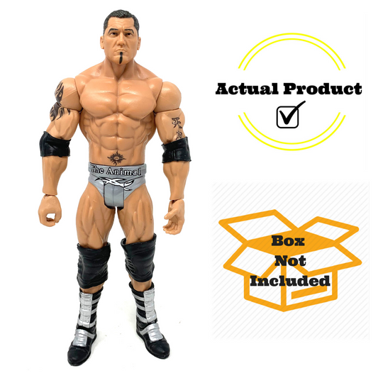 WWE Batista Summer Slam Basic Wrestling Action Figure