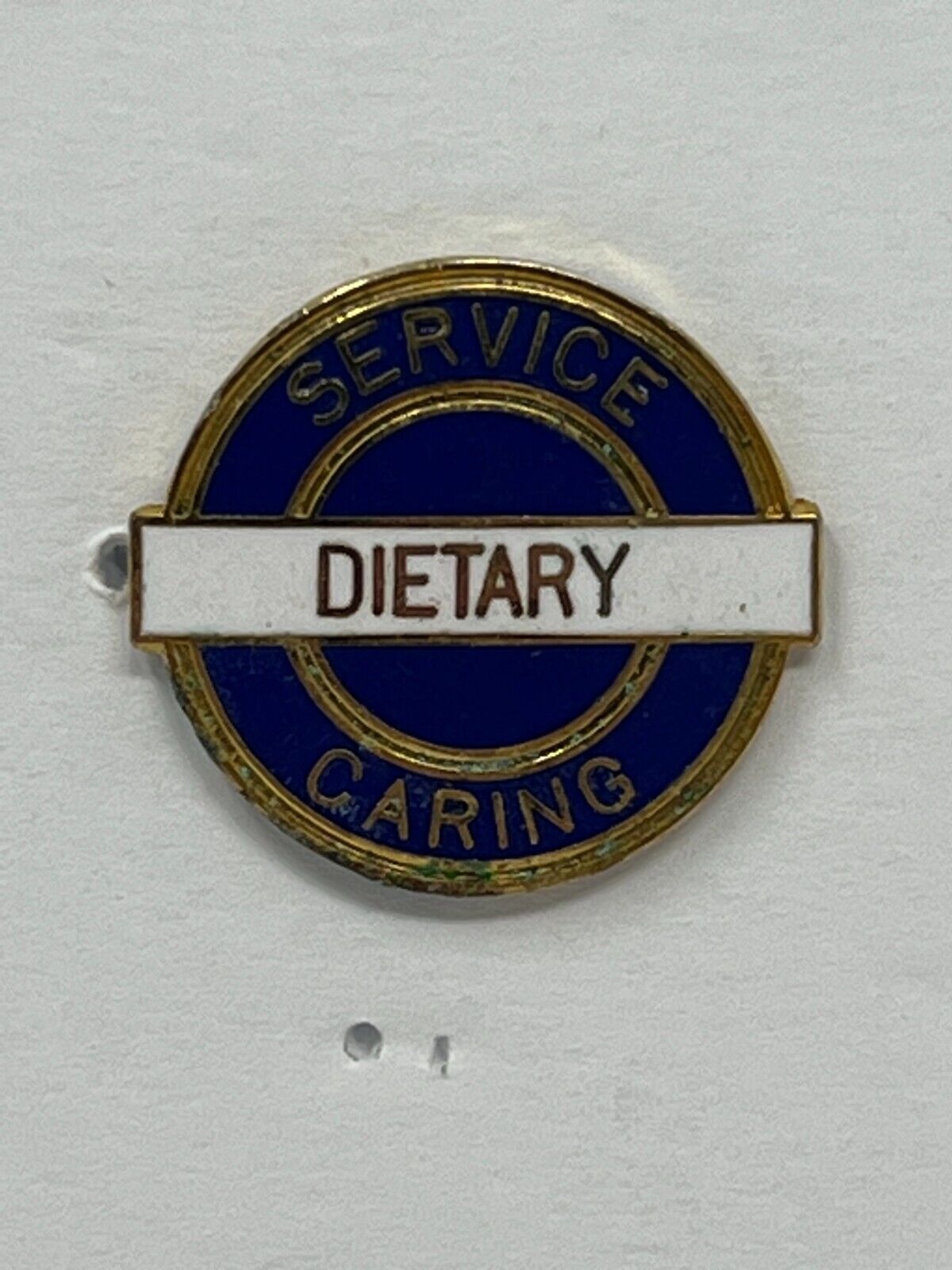 Dietary Service Caring Hospital Clubs & Organizations Lapel Pin P1