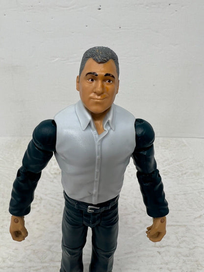 WWE Basic Shane McMahon Wrestling Action Figure Mattel Toys